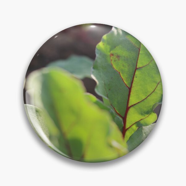 Item preview, Red beet leaf in the most beautiful picture designed and sold by nagyphotography.