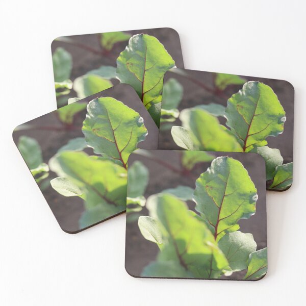 Item preview, Red beet leaf in the most beautiful picture designed and sold by nagyphotography.