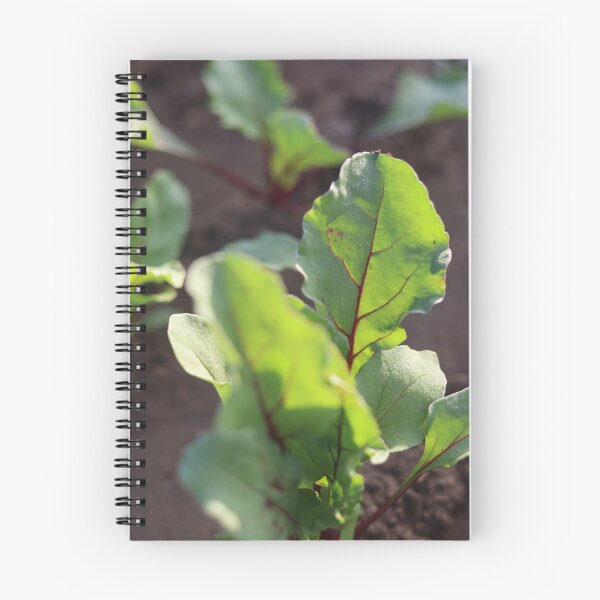 Item preview, Red beet leaf in the most beautiful picture designed and sold by nagyphotography.