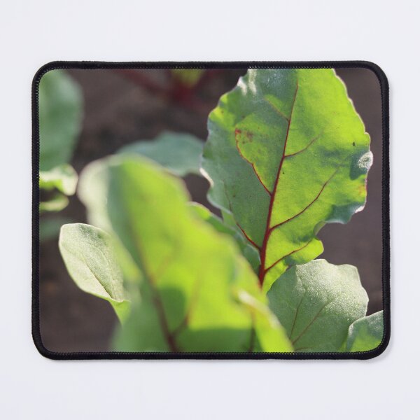 Item preview, Red beet leaf in the most beautiful picture designed and sold by nagyphotography.