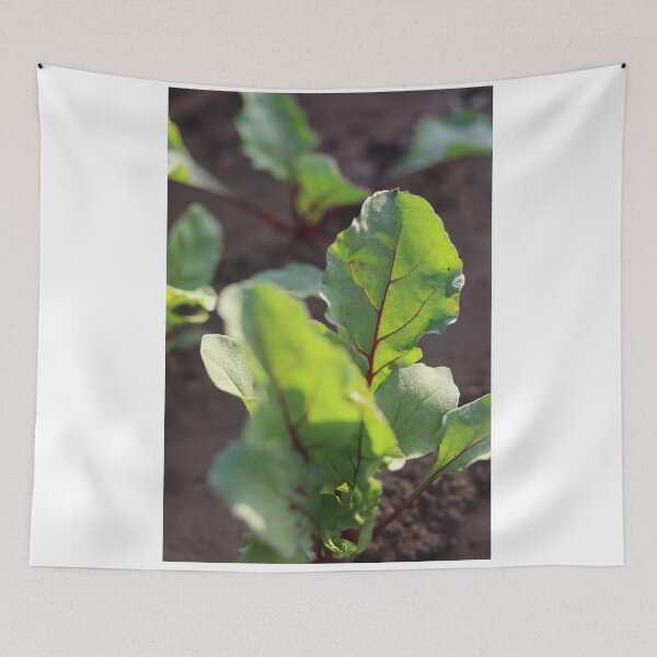 Item preview, Red beet leaf in the most beautiful picture designed and sold by nagyphotography.