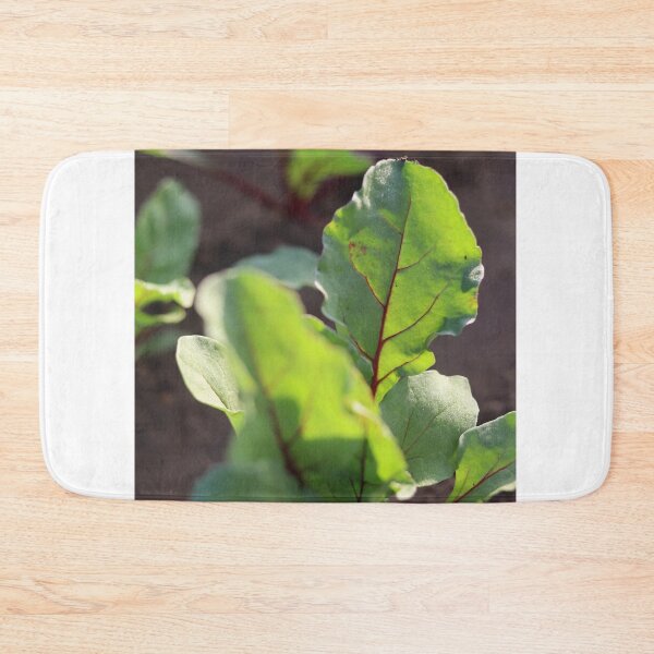 Item preview, Red beet leaf in the most beautiful picture designed and sold by nagyphotography.