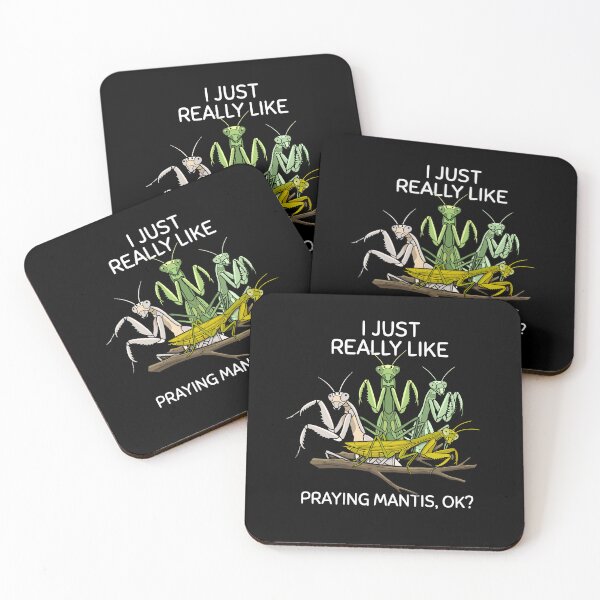 Item preview, Praying Mantis Lover Kids Insects Boys Praying Mantis designed and sold by DSWShirts.