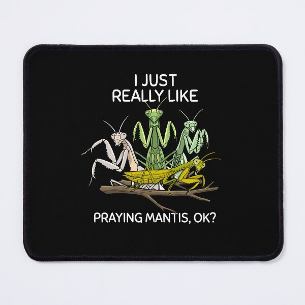 Item preview, Praying Mantis Lover Kids Insects Boys Praying Mantis designed and sold by DSWShirts.