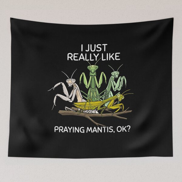Item preview, Praying Mantis Lover Kids Insects Boys Praying Mantis designed and sold by DSWShirts.