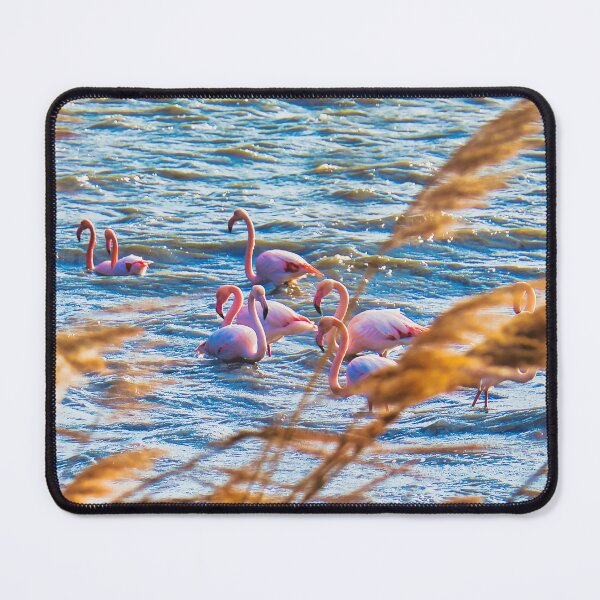 Item preview, Pink flamingos designed and sold by MarieClaude1954.