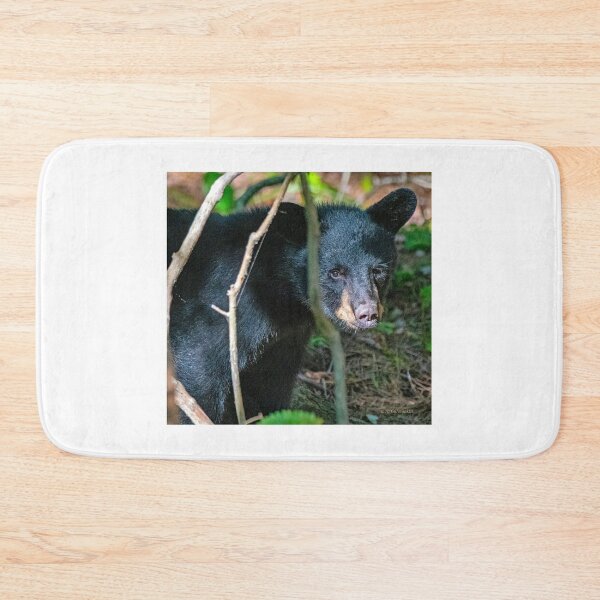 Item preview, Black Bear Makes Eye Contact, Animal Portrait designed and sold by AMacGPhilly.
