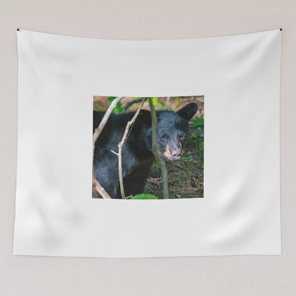 Item preview, Black Bear Makes Eye Contact, Animal Portrait designed and sold by AMacGPhilly.