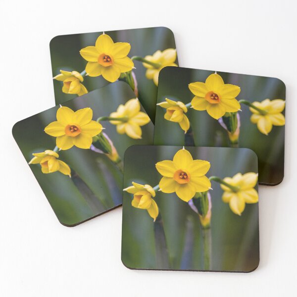 Item preview, Yellow Daffodil Flowers In Bloom Close-Up With Soft Green Background Evoking Spring designed and sold by Nmallia.