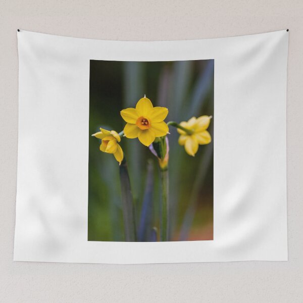 Item preview, Yellow Daffodil Flowers In Bloom Close-Up With Soft Green Background Evoking Spring designed and sold by Nmallia.