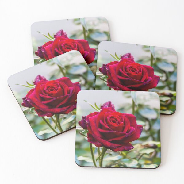 Item preview, Deep Red Rose Bloom In Garden Close-Up Symbolizing Romance, Love And Natural Beauty designed and sold by Nmallia.