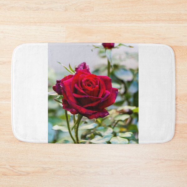 Item preview, Deep Red Rose Bloom In Garden Close-Up Symbolizing Romance, Love And Natural Beauty designed and sold by Nmallia.