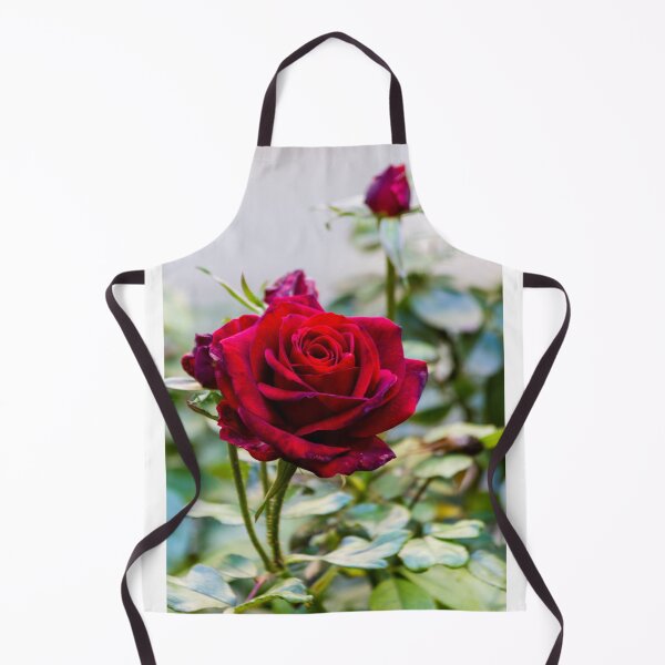 Item preview, Deep Red Rose Bloom In Garden Close-Up Symbolizing Romance, Love And Natural Beauty designed and sold by Nmallia.