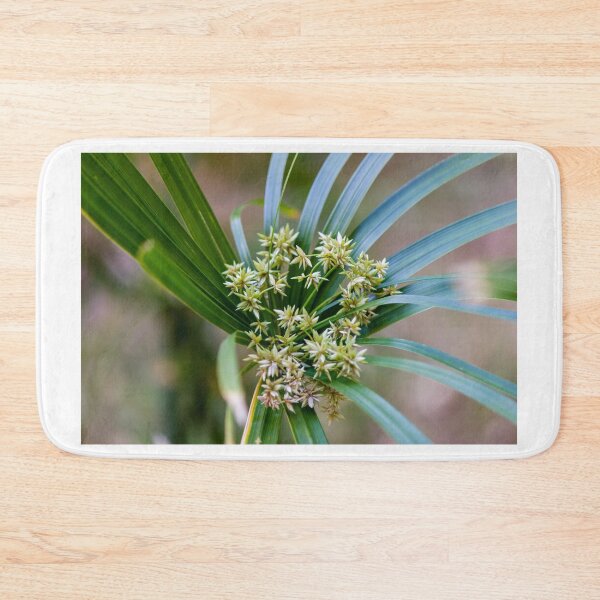 Item preview, Green Plant With Clustered Star-Like Flowers and Long Arching Leaves in Soft Focus designed and sold by Nmallia.
