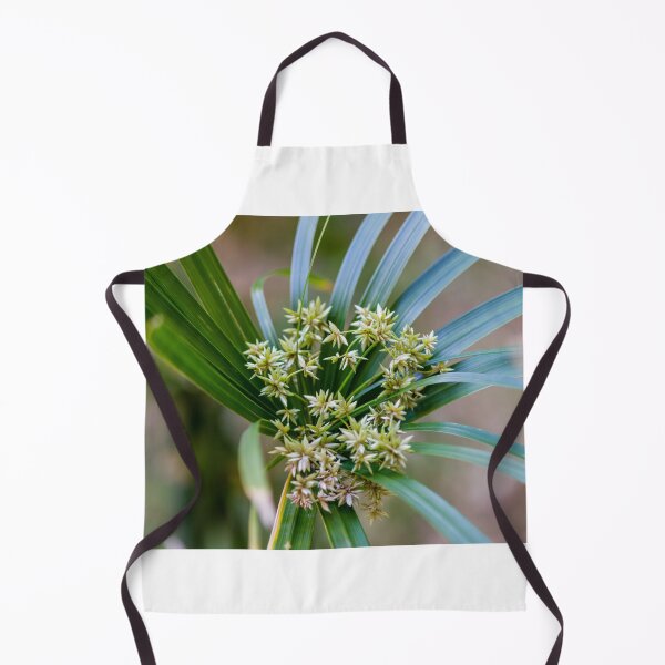 Item preview, Green Plant With Clustered Star-Like Flowers and Long Arching Leaves in Soft Focus designed and sold by Nmallia.