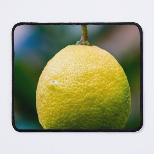 Item preview, Close-Up Of Ripe Lemon Hanging From Citrus Tree With Leaf In Garden designed and sold by Nmallia.