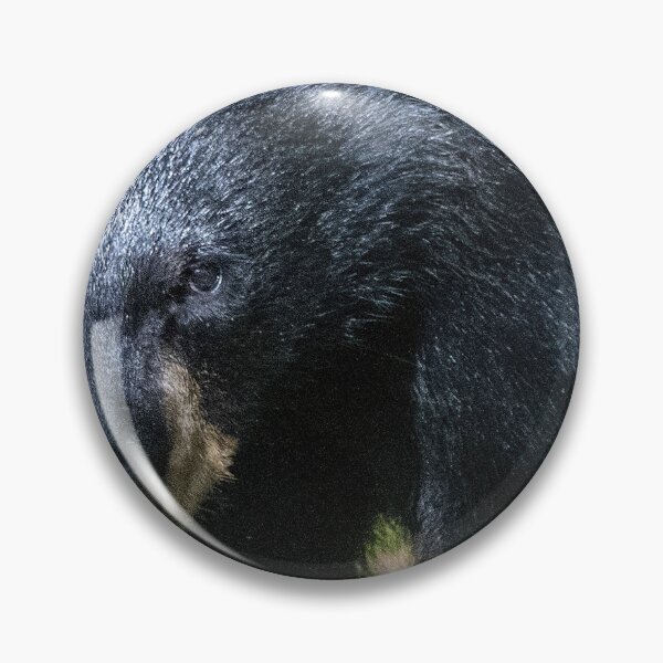 Item preview, American Black Bear Makes Eye Contact designed and sold by AMacGPhilly.