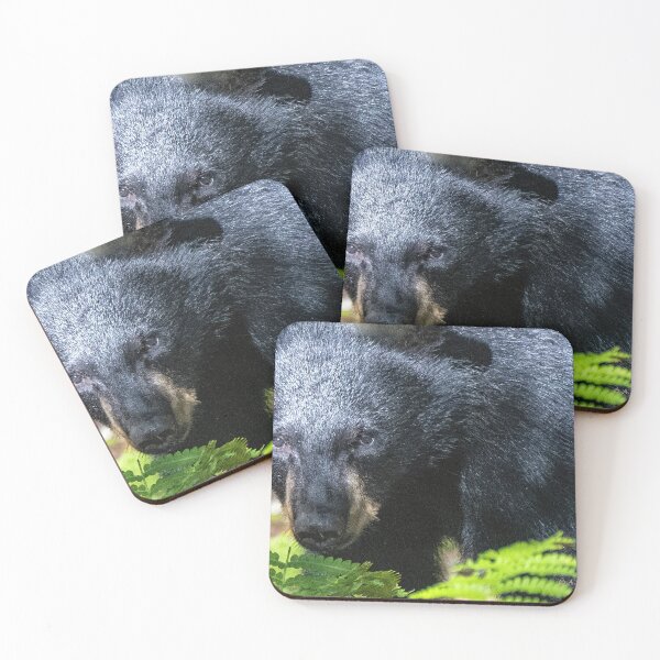 Item preview, American Black Bear Makes Eye Contact designed and sold by AMacGPhilly.