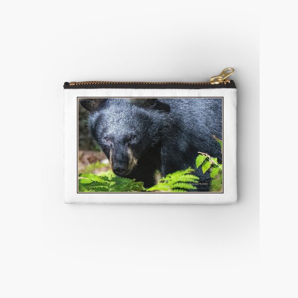 Item preview, American Black Bear Makes Eye Contact designed and sold by AMacGPhilly.