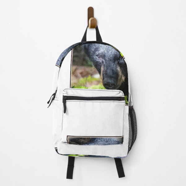 Item preview, American Black Bear Makes Eye Contact designed and sold by AMacGPhilly.