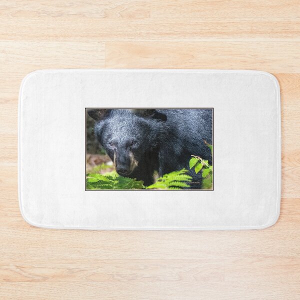 Item preview, American Black Bear Makes Eye Contact designed and sold by AMacGPhilly.