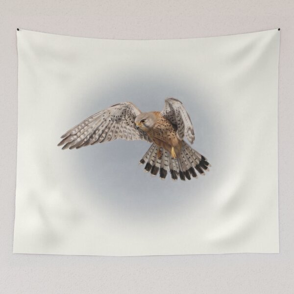 Item preview, Kestrel designed and sold by Guardi71.