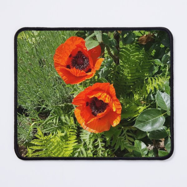 Item preview, Oriental poppy designed and sold by MinasArt90.