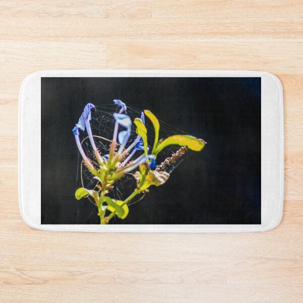 Item preview, Blue Flower Entangled in Spiderweb on Dark Background, Macro Close-Up of Withered Plant designed and sold by Nmallia.