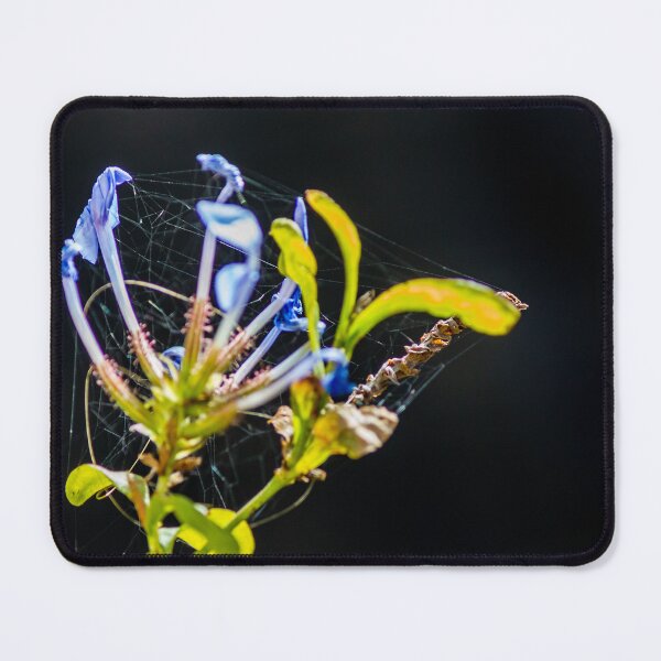 Item preview, Blue Flower Entangled in Spiderweb on Dark Background, Macro Close-Up of Withered Plant designed and sold by Nmallia.