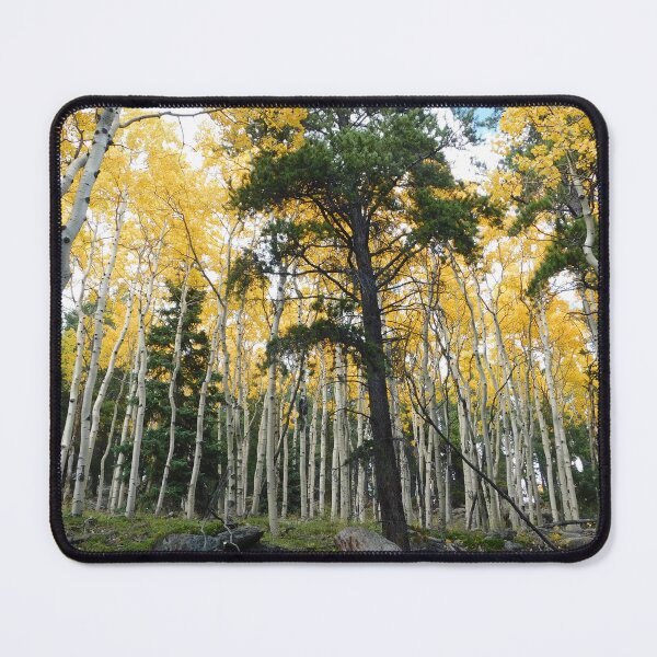 Item preview, Aspens n' Pines designed and sold by AbomProd.