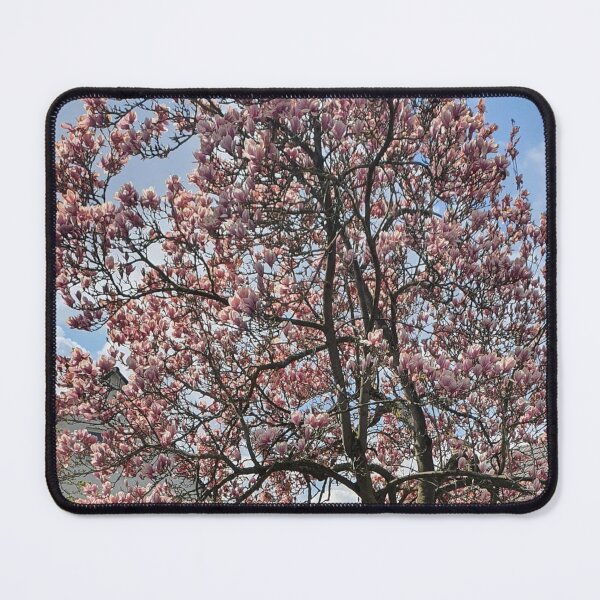 Item preview, Magnolia tree in full bloom designed and sold by MinasArt90.