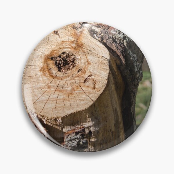Item preview, Close-Up Of A Cut Tree Stump With Visible Growth Rings And Rough Bark In Sunlight designed and sold by Nmallia.