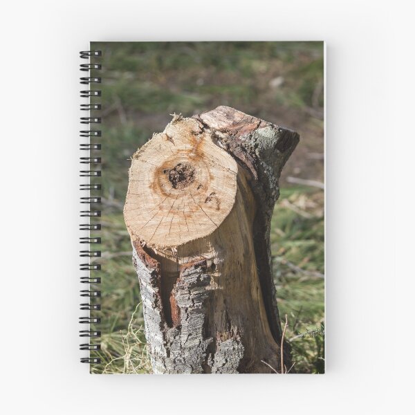 Item preview, Close-Up Of A Cut Tree Stump With Visible Growth Rings And Rough Bark In Sunlight designed and sold by Nmallia.