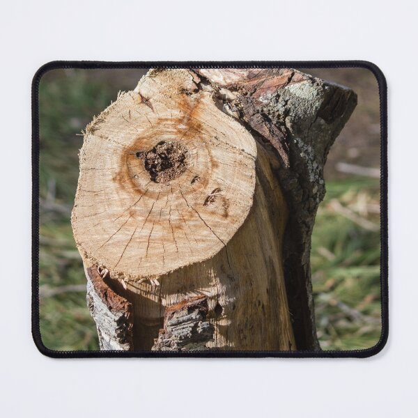 Item preview, Close-Up Of A Cut Tree Stump With Visible Growth Rings And Rough Bark In Sunlight designed and sold by Nmallia.