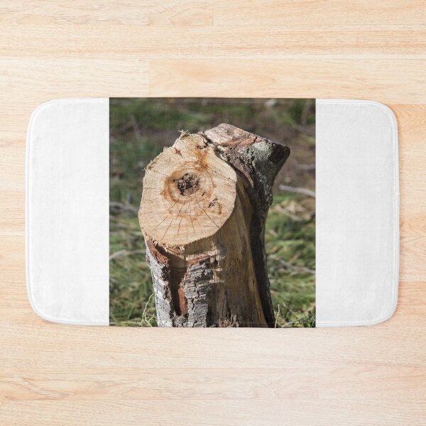 Item preview, Close-Up Of A Cut Tree Stump With Visible Growth Rings And Rough Bark In Sunlight designed and sold by Nmallia.