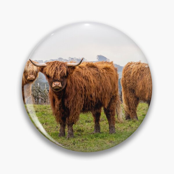 Item preview, Highland Cows designed and sold by angieblue-25.