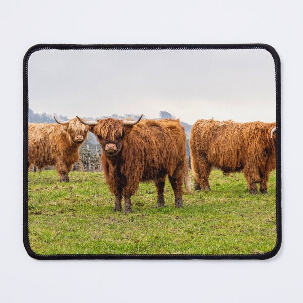 Item preview, Highland Cows designed and sold by angieblue-25.