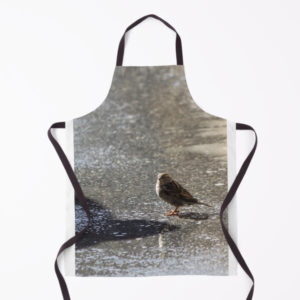 Item preview, Sparrow Standing on Wet Pavement With Reflection and Shadow on Urban Asphalt Surface designed and sold by Nmallia.