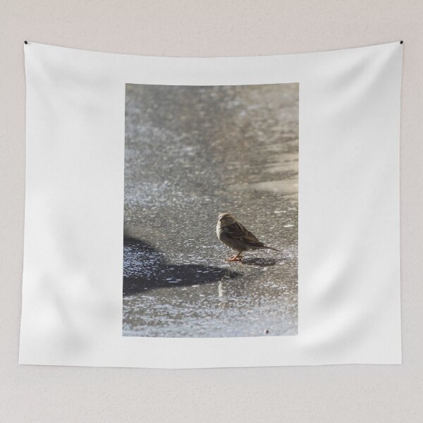 Item preview, Sparrow Standing on Wet Pavement With Reflection and Shadow on Urban Asphalt Surface designed and sold by Nmallia.