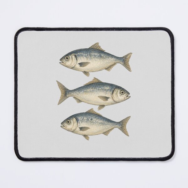 Item preview, 3 Fishy Fish Fishing art collection designed and sold by byaga.