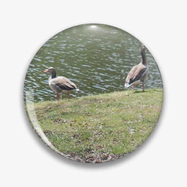 Item preview, Two greylag geese by a stream designed and sold by MinasArt90.