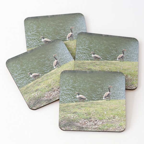 Item preview, Two greylag geese by a stream designed and sold by MinasArt90.