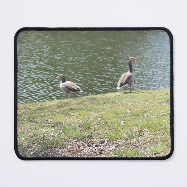 Item preview, Two greylag geese by a stream designed and sold by MinasArt90.