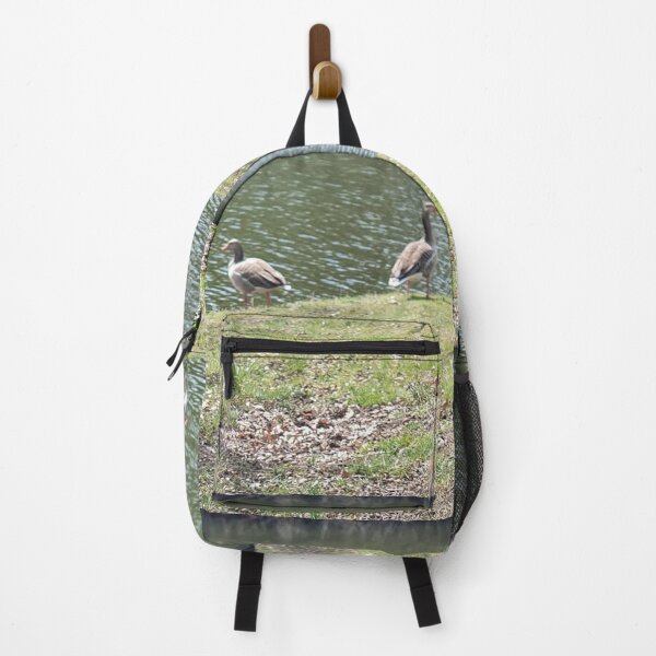 Item preview, Two greylag geese by a stream designed and sold by MinasArt90.