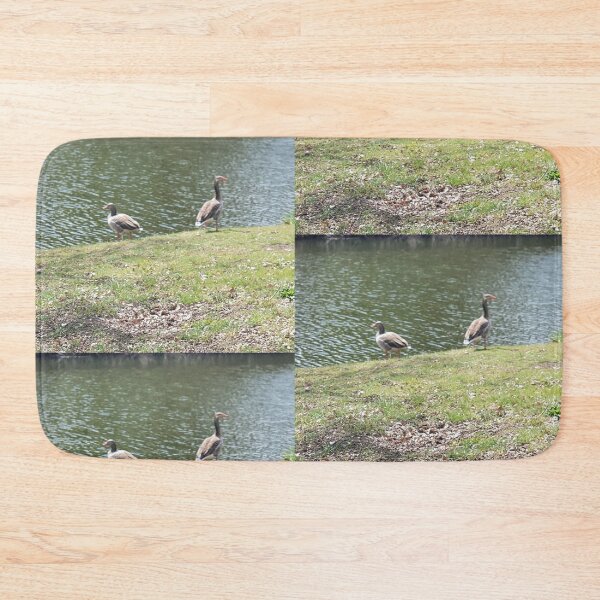 Item preview, Two greylag geese by a stream designed and sold by MinasArt90.