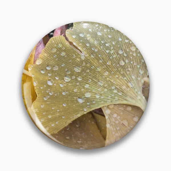 Item preview, Ginkgo Leaves, REAL photograph designed and sold by GiSilver.