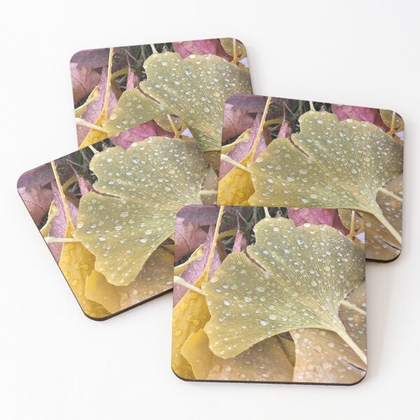 Item preview, Ginkgo Leaves, REAL photograph designed and sold by GiSilver.
