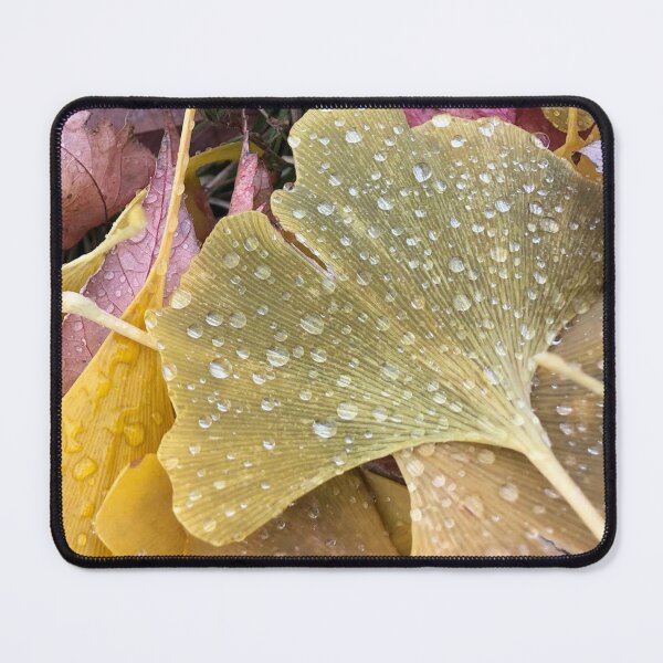 Item preview, Ginkgo Leaves, REAL photograph designed and sold by GiSilver.