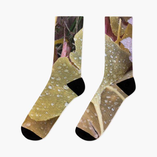 Item preview, Ginkgo Leaves, REAL photograph designed and sold by GiSilver.