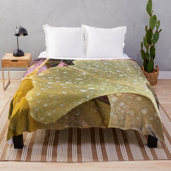 Item preview, Ginkgo Leaves, REAL photograph designed and sold by GiSilver.